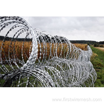 razor concertina wire fence